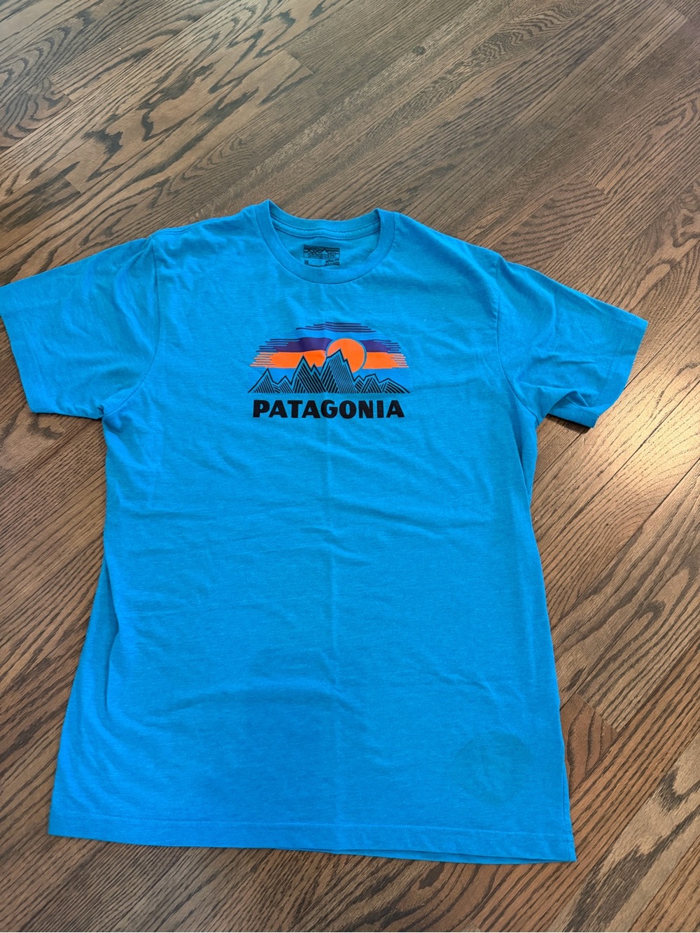 Patagonia Men's Blue Graphic Logo T-Shirt